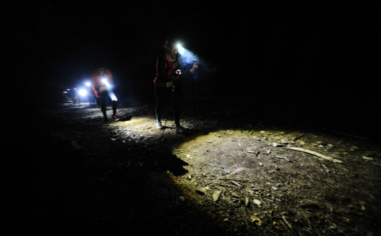 Le Dernier Homme Debout Morvan